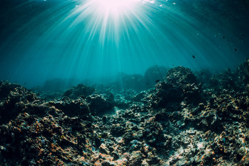 Naklejka na ściany i meble Underwater scene with corals, rocks and sun rays. Tropical blue sea
