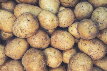 ripe potatoes close-up, top view, autumn harvest