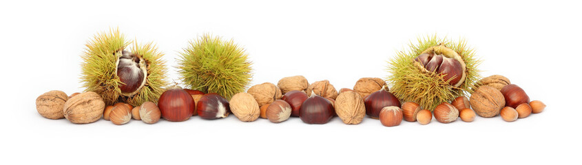 Fruits of autumn border. Comestible  sweet chestnuts, nuts and hazelnuts  isolated on white background.