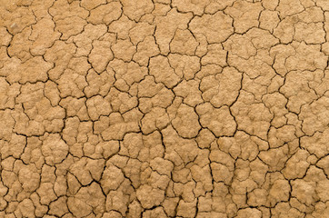 Clay sandy earth parched and cracked