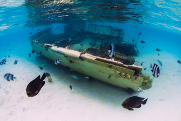 Tropical ocean with wreck of boat on sandy bottom and school of fish, underwater in Mauritius