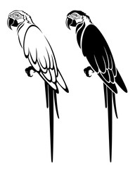 Vector set of decorative, detailed, isolated, sitting parrots in black color, on white background. Outline and silhouette. 