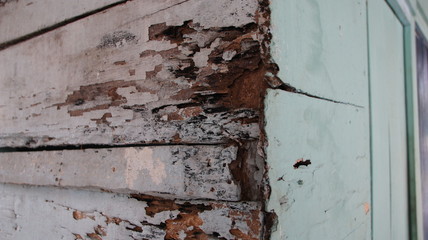 Black background with light and light colors