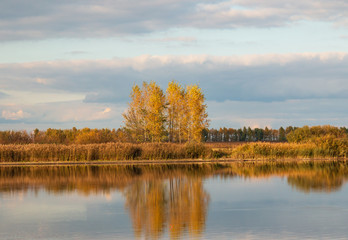 autumn landscape with trees and river
