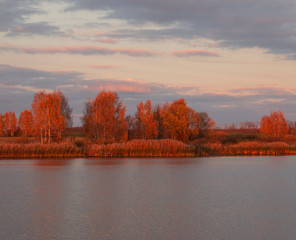 autumn landscape with trees and river