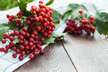 Viburnum berries with bunches. Viburnum on wooden background