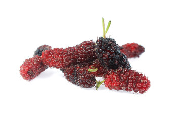 mulberry isolated on the white background