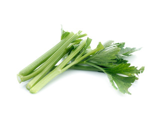 fresh celery isolated on white background