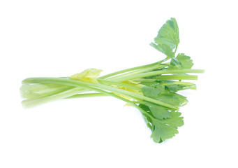 Celery isolated on a white background