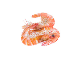 Shrimp isolated on the white background