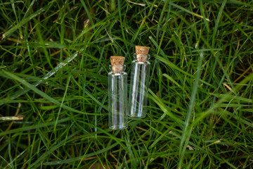 Glass jars with cork stoppers lie on the green grass in the summer garden