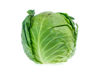 Fototapeta premium cabbage on white background