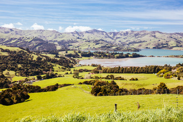 Fototapeta na wymiar Banks Peninsula in New Zealand's South Island
