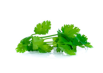 Bunch of fresh coriander leaves over white background