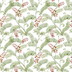 Wildflowers medicinal Tufted Vetch watercolor illustrations. Isolated on the white background. Blossom, herbarium plant. Accurate botanical illustration. Seamless patterns.