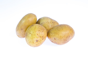 potato isolated on white
