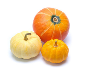 Pumpkin isolated on white background