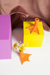 duck legs coloured cubes and flowers