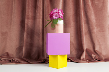 equilibrium coloured cubes and pink flowers rhododendron