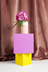 equilibrium coloured cubes and pink flowers rhododendron