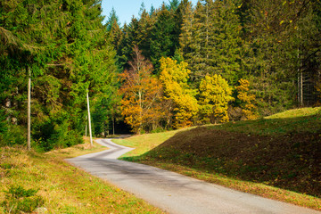 route dans la forêt automnale