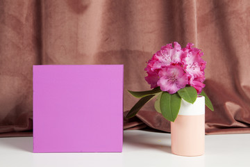 pink cube and pink flowers rhododendron