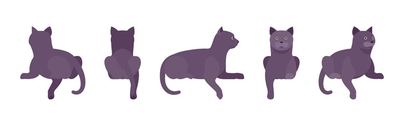 Black Cat lying. Active healthy kitten with dark, gray colored fur, cute funny pet, mystic bad luck omen. Vector flat style cartoon illustration isolated on white background, different views