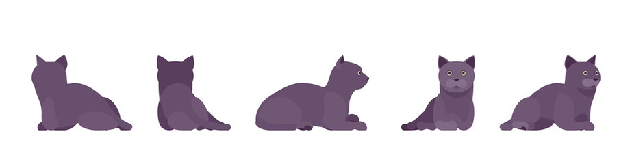 Black Cat lying resting. Active healthy kitten with dark, gray colored fur, cute funny pet, mystic bad luck omen. Vector flat style cartoon illustration isolated on white background, different views