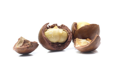 macadamia nuts on white background