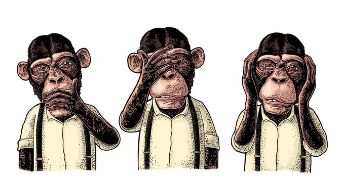 Three wise monkeys. Not see, not hear, not speak. Vintage engraving