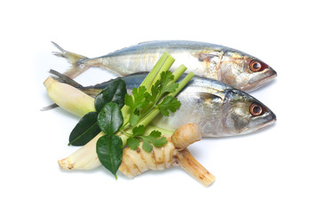 Fresh mackerel isolated on white background