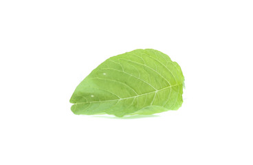 Fototapeta premium Spinach leaves close up isolated on white