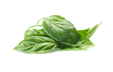 Close up green basil herb leaves isolated on white background.