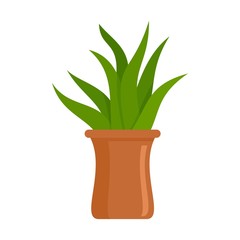 Succulent pot icon. Flat illustration of succulent pot vector icon for web design