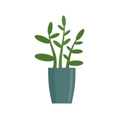 Fototapeta na wymiar Gardenia plant icon. Flat illustration of gardenia plant vector icon for web design