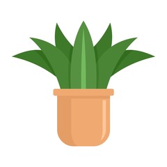 Home succulent icon. Flat illustration of home succulent vector icon for web design