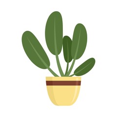Round leaves houseplant icon. Flat illustration of round leaves houseplant vector icon for web design