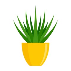 Succulent flower pot icon. Flat illustration of succulent flower pot vector icon for web design