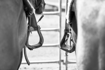 Close-up on the horse wooden stirrups