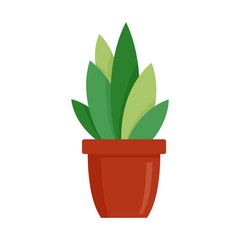 Modern succulent pot icon. Flat illustration of modern succulent pot vector icon for web design