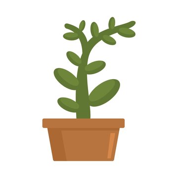 Money tree pot icon. Flat illustration of money tree pot vector icon for web design