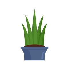 Long leaf succulent icon. Flat illustration of long leaf succulent vector icon for web design