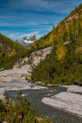 wild, untamed river and larches in Val Cluozza with Piz Linard in Swiss National Park