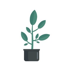 Leaf houseplant pot icon. Flat illustration of leaf houseplant pot vector icon for web design