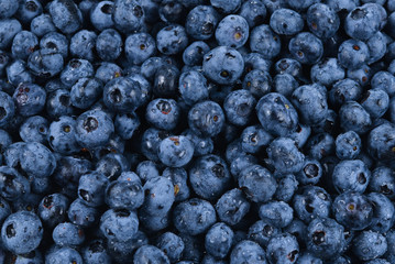 Fresh blueberry background. Texture blueberry berries close up.