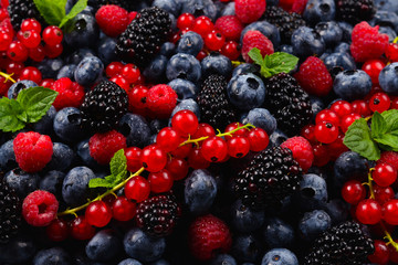 Blackberry, raspberry, blueberry,  red currant and mint background.