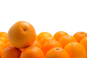 Group of oranges in a row isolated on white background, Space for text or design.