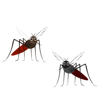 Two Flying Mosquitoes