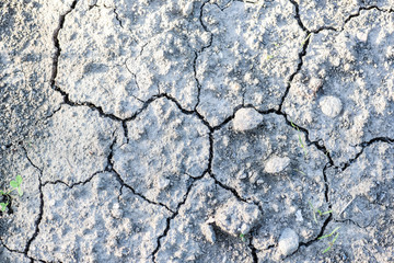 cracked ground or background texture. Earth gap, Dry clay from top view.