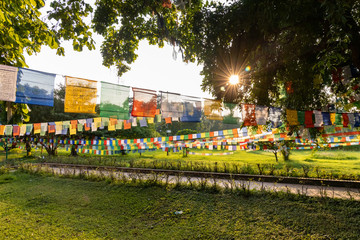 Prayer flags hanging at garden in Lumbini, Nepal